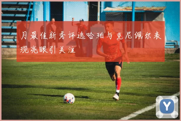 月最佳新秀评选哈珀与克尼佩尔表现亮眼引关注