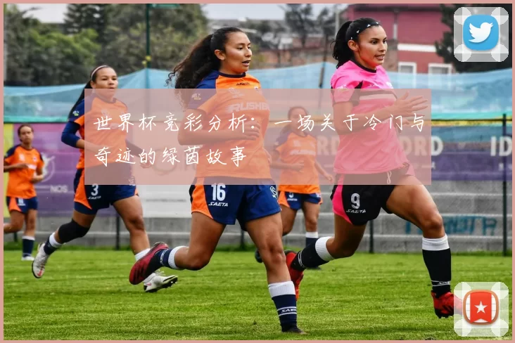 世界杯竞彩分析：一场关于冷门与奇迹的绿茵故事