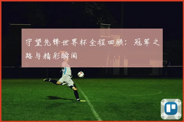 守望先锋世界杯全程回顾:冠军之路与精彩瞬间