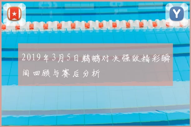 2019年3月5日鹈鹕对决强敌精彩瞬间回顾与赛后分析