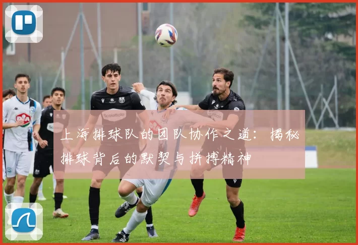 上海排球队的团队协作之道：揭秘排球背后的默契与拼搏精神