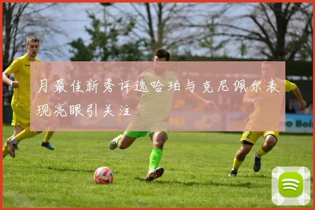 月最佳新秀评选哈珀与克尼佩尔表现亮眼引关注