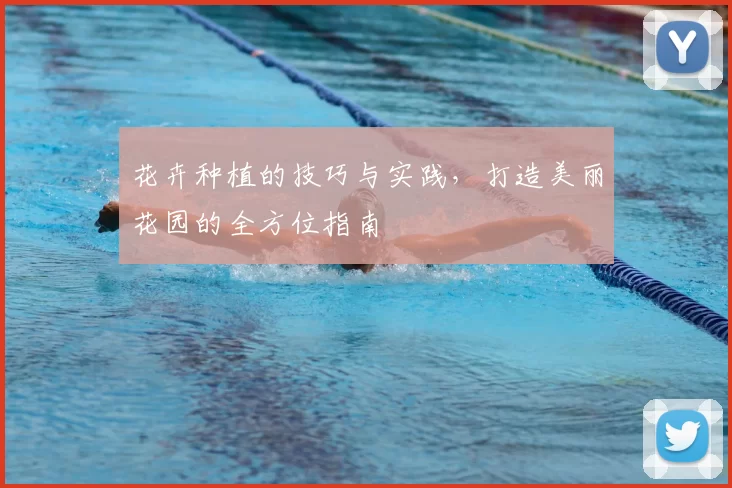 花卉种植的技巧与实践，打造美丽花园的全方位指南