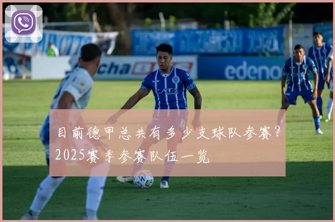 目前德甲总共有多少支球队参赛？2025赛季参赛队伍一览