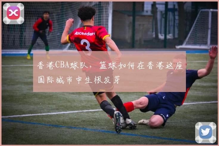 香港CBA球队，篮球如何在香港这座国际城市中生根发芽