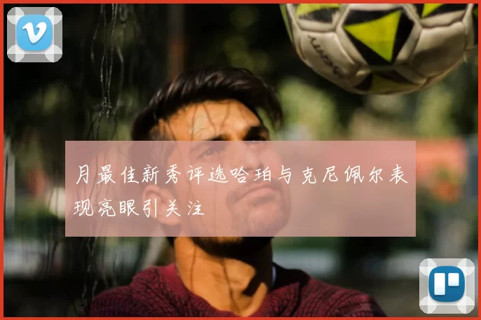 月最佳新秀评选哈珀与克尼佩尔表现亮眼引关注