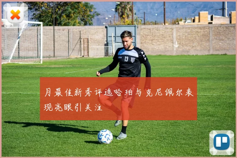 月最佳新秀评选哈珀与克尼佩尔表现亮眼引关注