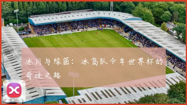 冰川与绿茵：冰岛队今年世界杯的奇迹之路