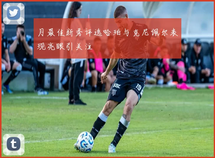月最佳新秀评选哈珀与克尼佩尔表现亮眼引关注