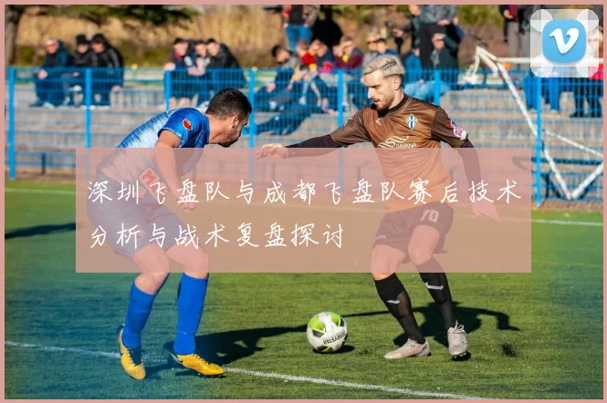 深圳飞盘队与成都飞盘队赛后技术分析与战术复盘探讨