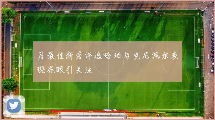 月最佳新秀评选哈珀与克尼佩尔表现亮眼引关注