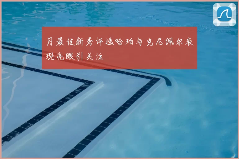 月最佳新秀评选哈珀与克尼佩尔表现亮眼引关注