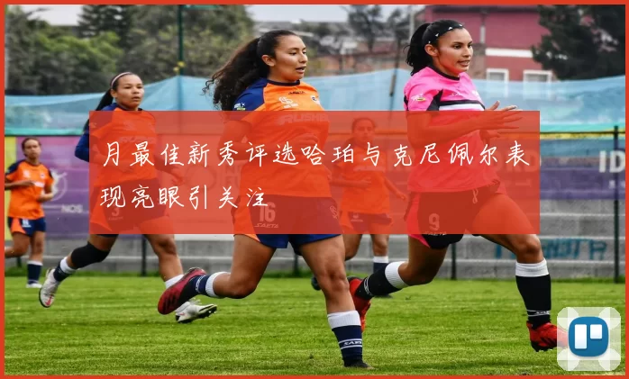 月最佳新秀评选哈珀与克尼佩尔表现亮眼引关注