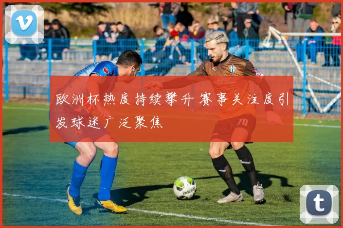 欧洲杯热度持续攀升 赛事关注度引发球迷广泛聚焦