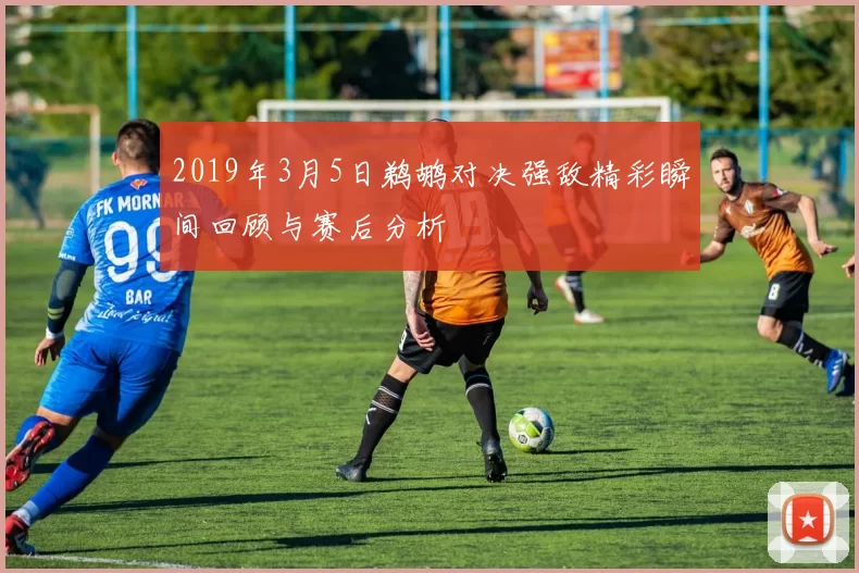 2019年3月5日鹈鹕对决强敌精彩瞬间回顾与赛后分析