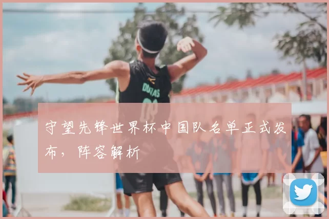 守望先锋世界杯中国队名单正式发布,阵容解析