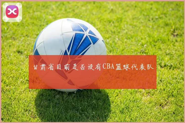 甘肃省目前是否设有CBA篮球代表队