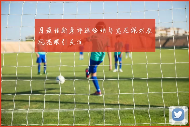 月最佳新秀评选哈珀与克尼佩尔表现亮眼引关注