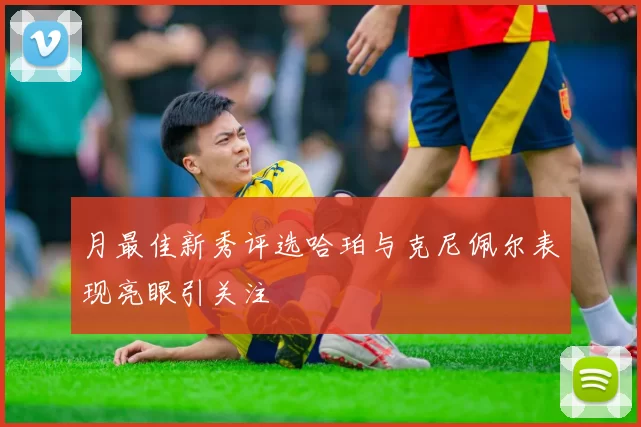 月最佳新秀评选哈珀与克尼佩尔表现亮眼引关注