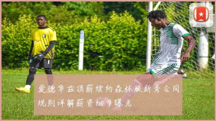 爱德华兹顶薪续约森林狼新秀合同规则详解薪资细节曝光