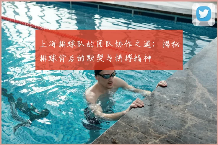 上海排球队的团队协作之道:揭秘排球背后的默契与拼搏精神